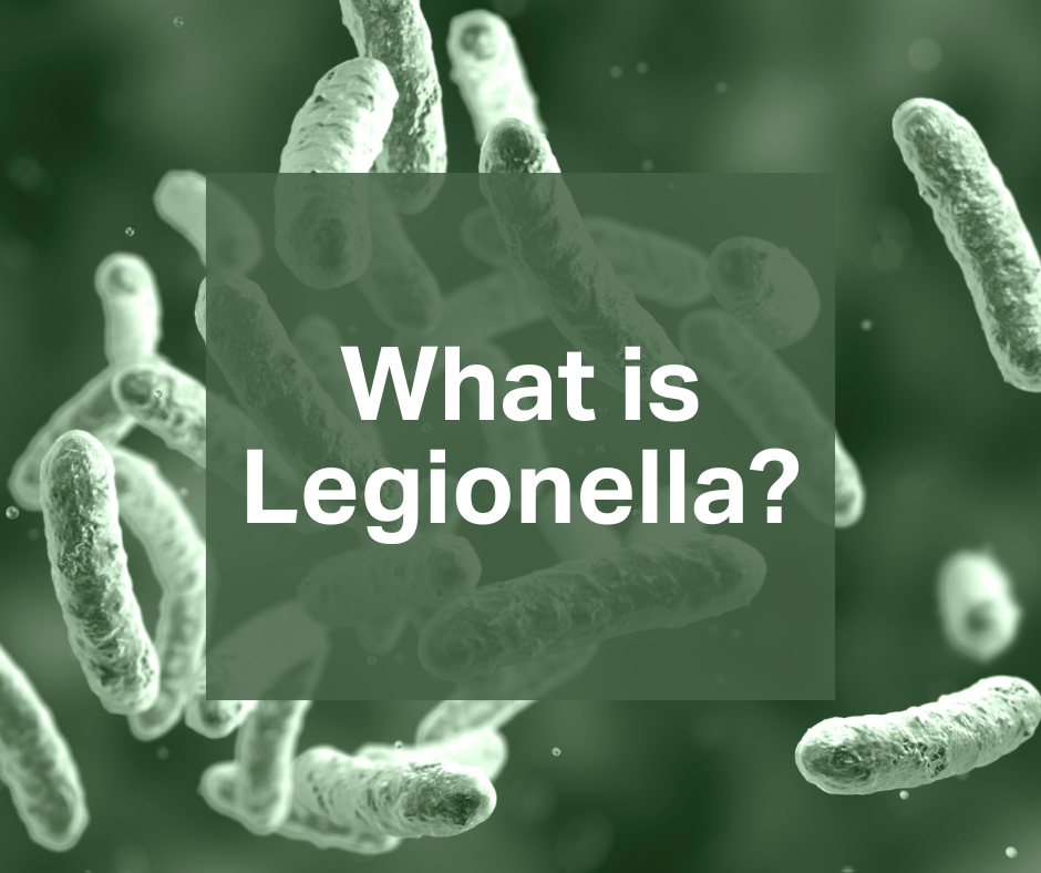 What is Legionella