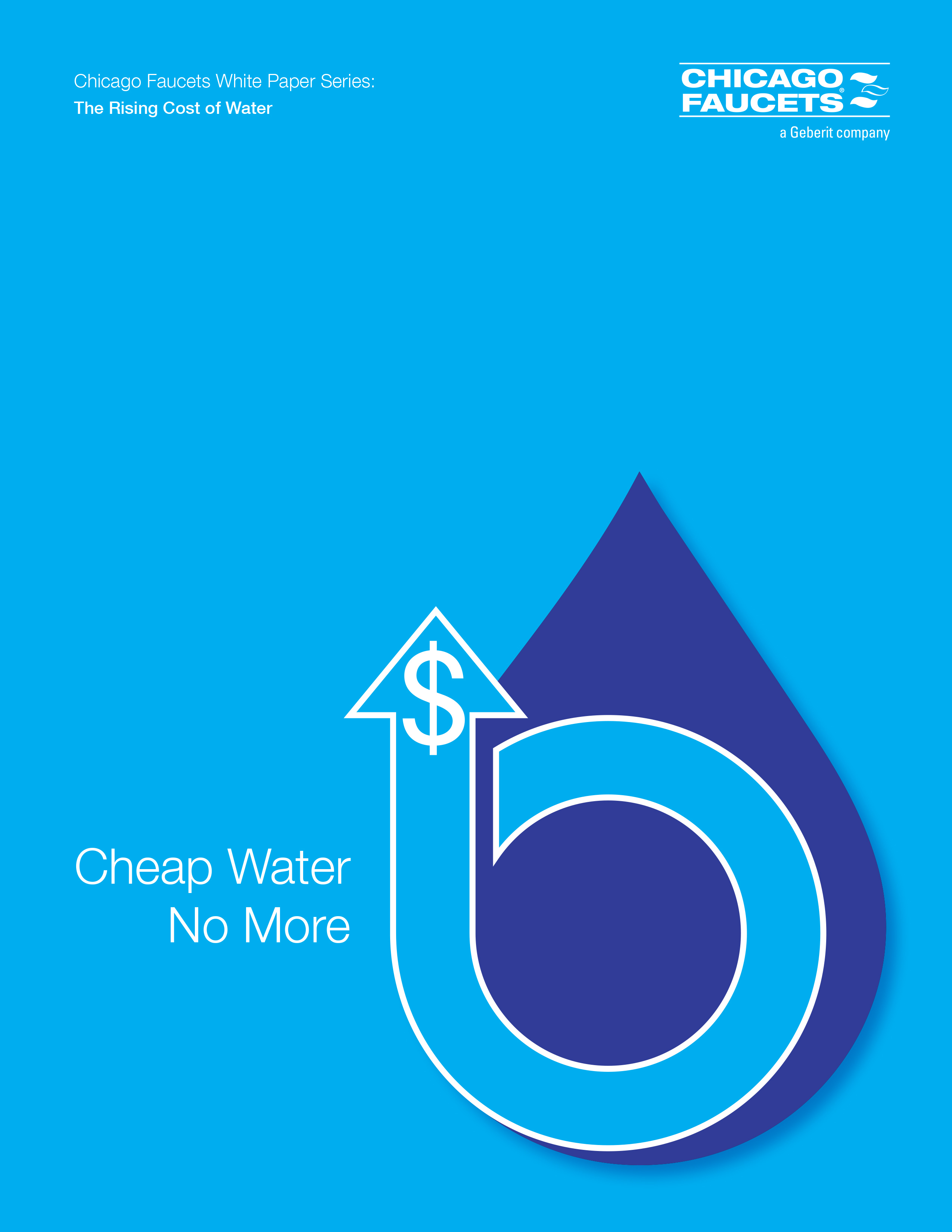 White Paper: Cheap Water No More