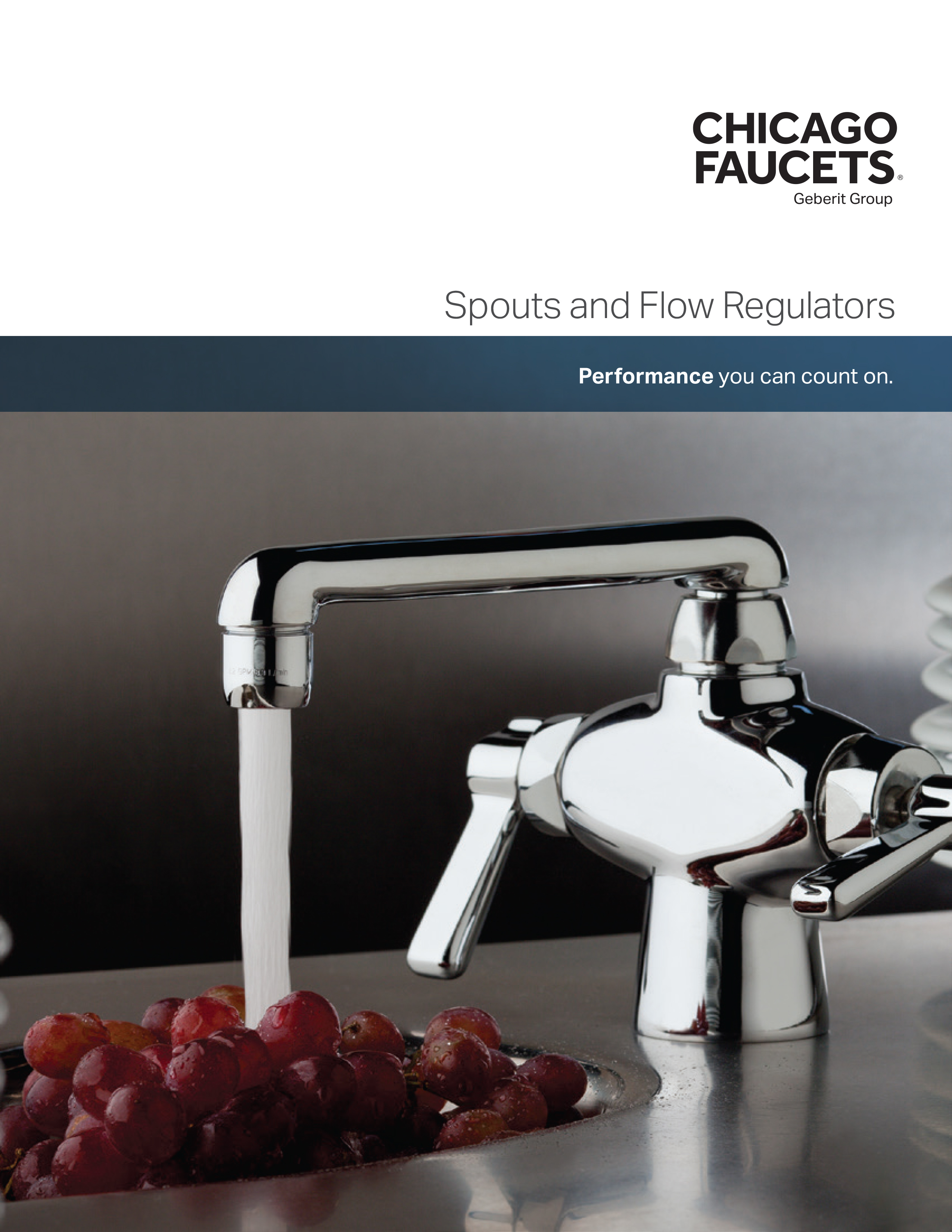 Spouts and Flow Regulators