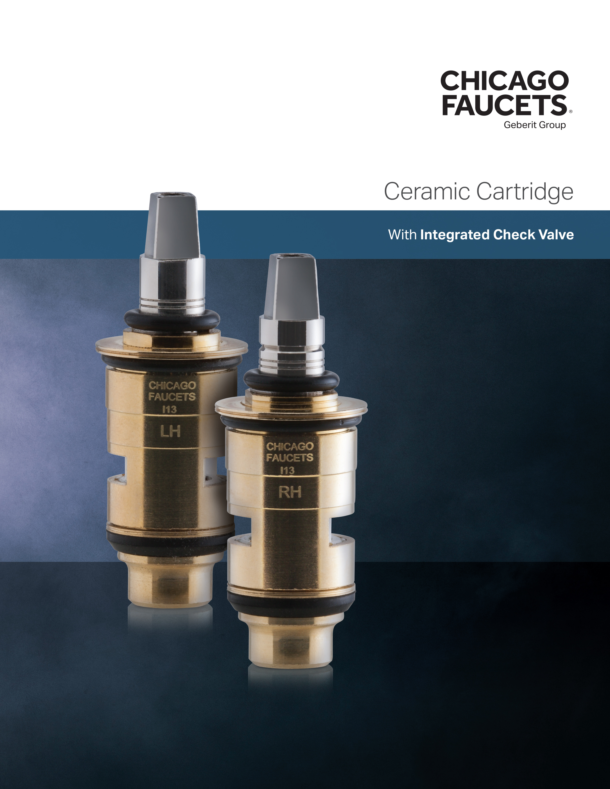 Cartridges with Integrated Check Valves